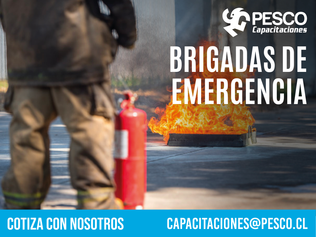 Pesco – Vamos Contigo