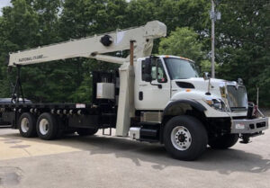 NATIONAL CRANE 8100D (21,7 TON)